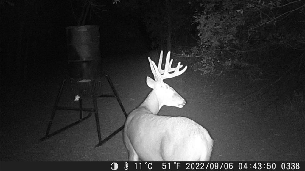 11205 S County Line Road