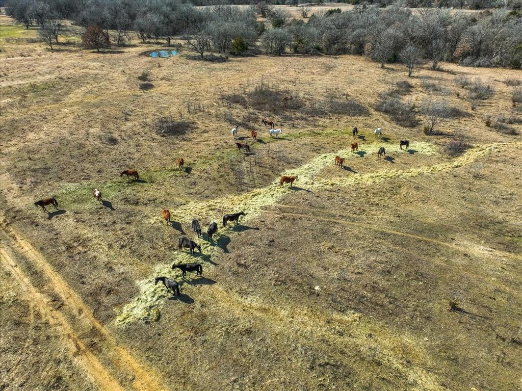 001 State Highway 19