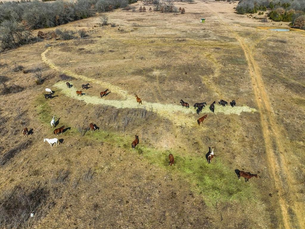 001 State Highway 19