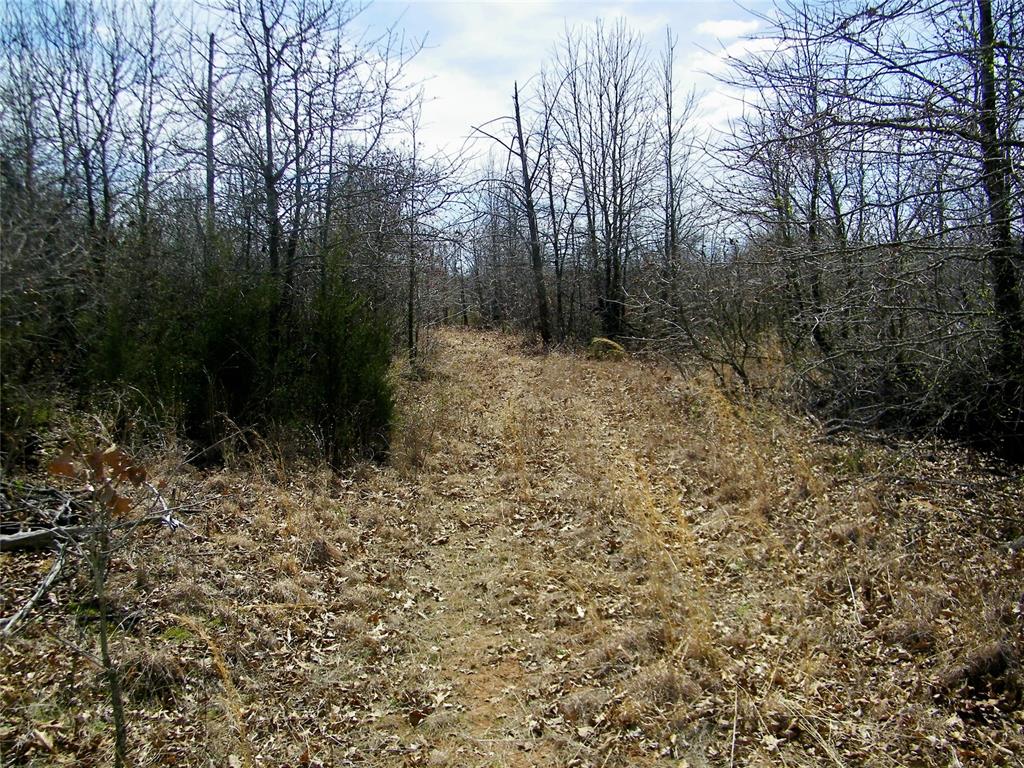 Etowah Road