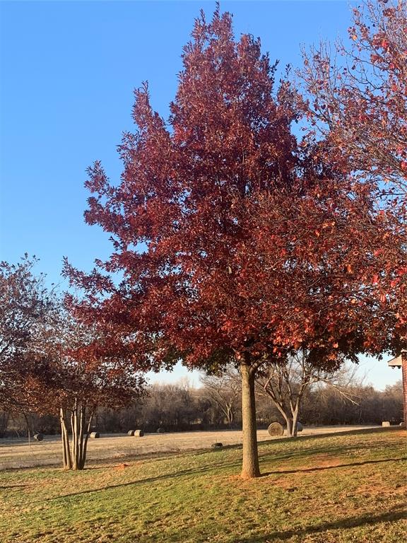 1008 County Road 1580