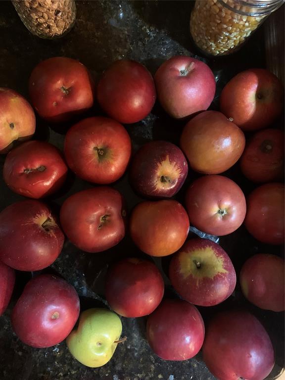 1008 County Road 1580