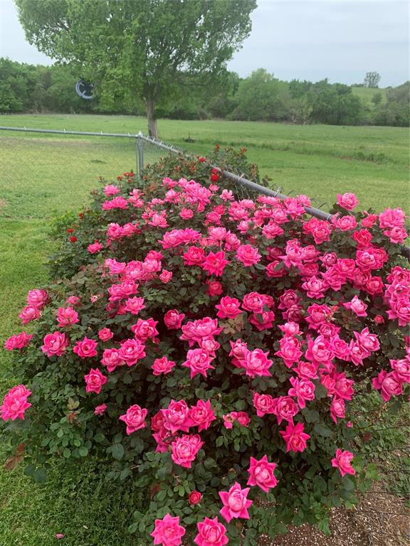 1008 County Road 1580