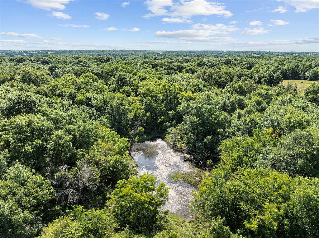 12458 Lake Road Avenue