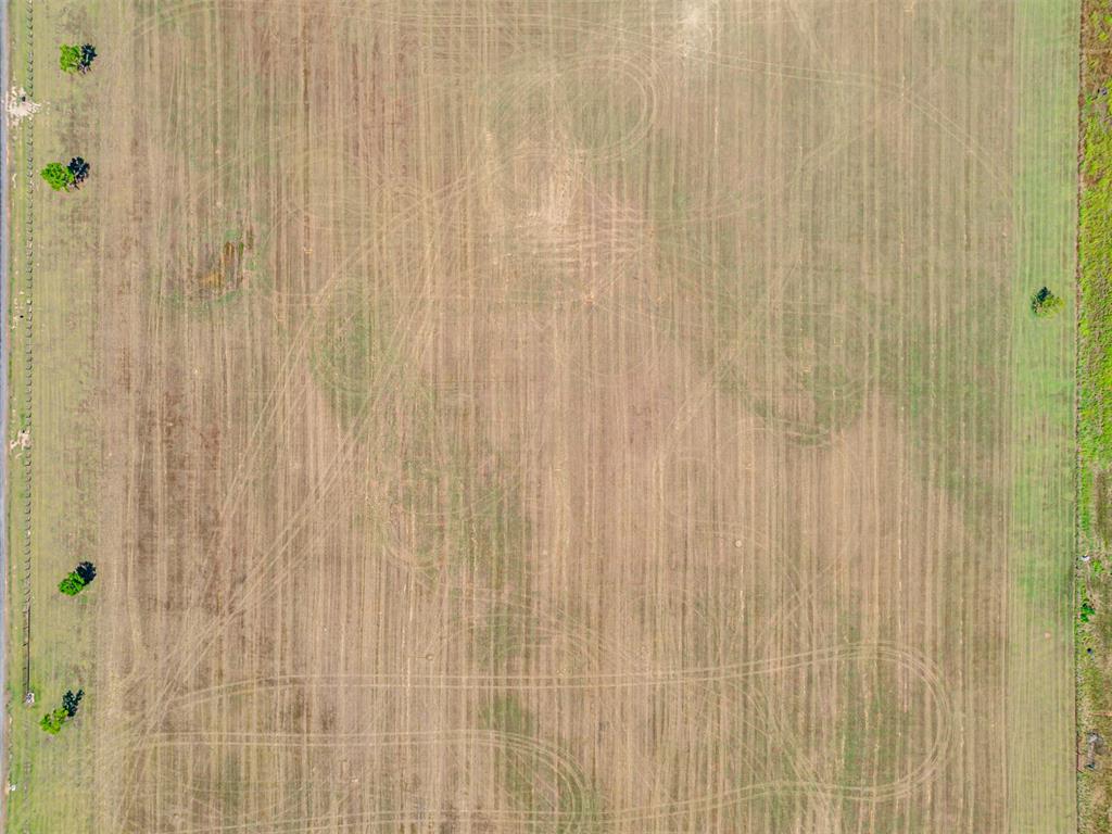 1017 Wild Flower (Tract 1C) Way