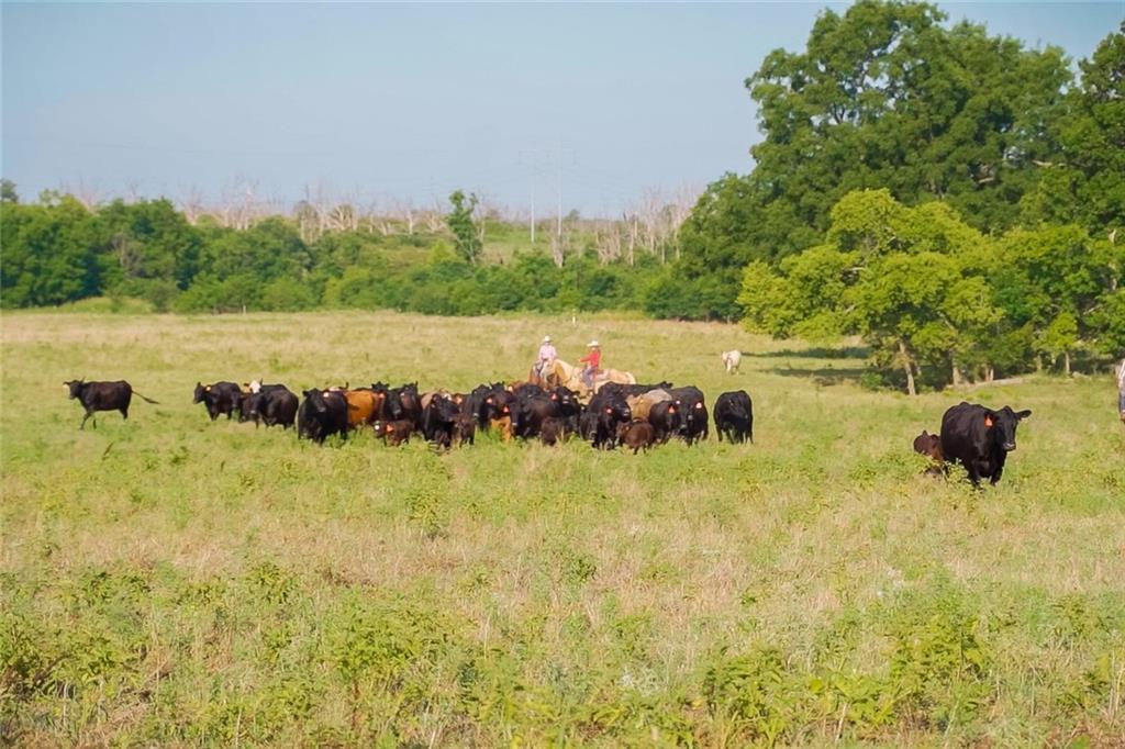 740421 S Highway 99 Highway