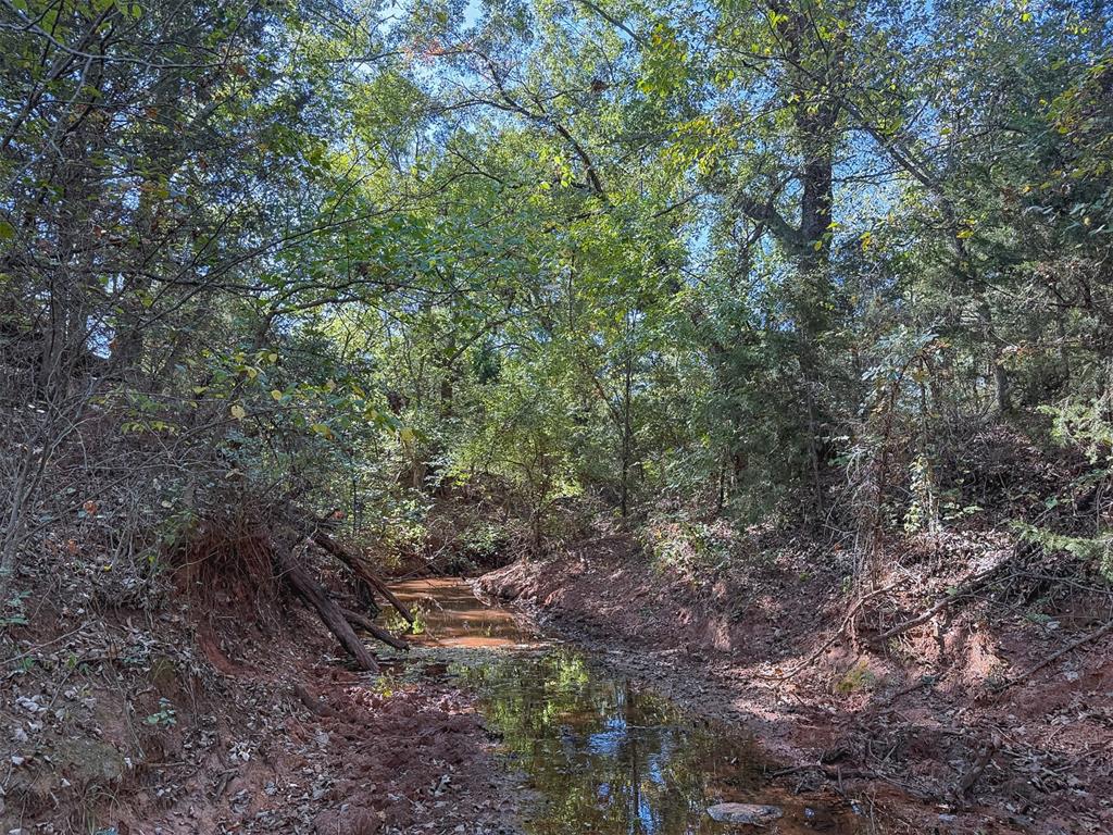36374 Avoca Road