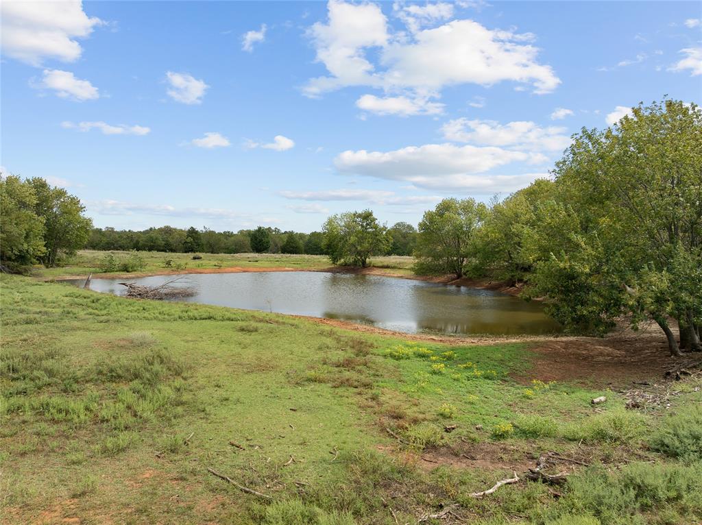 17402 State Highway 24