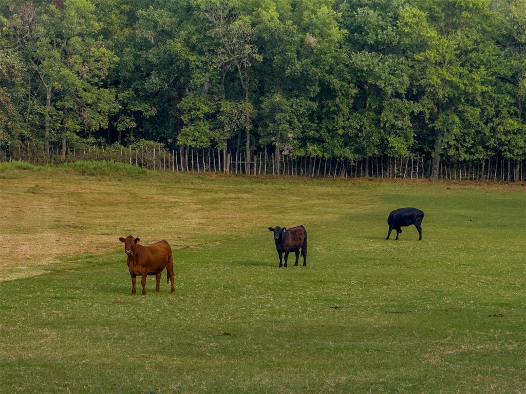 12951 N County Road 3250