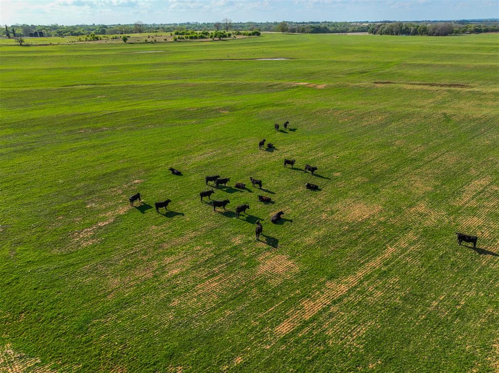 16491 Rockwood Avenue