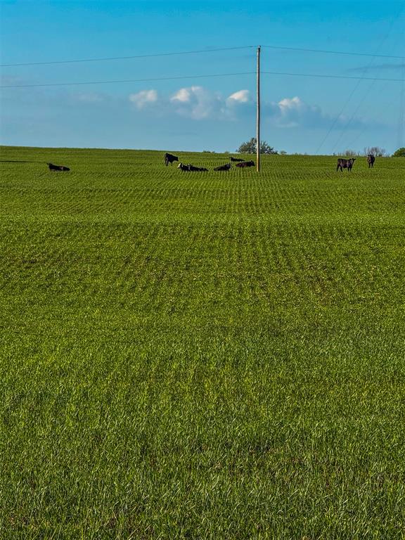 16491 Rockwood Avenue