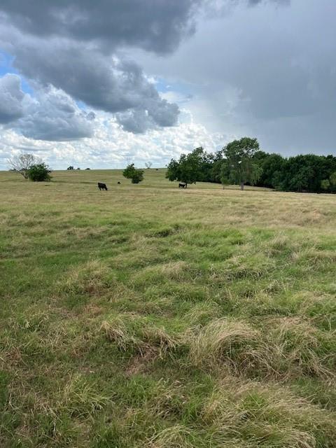 26252 Highway 19