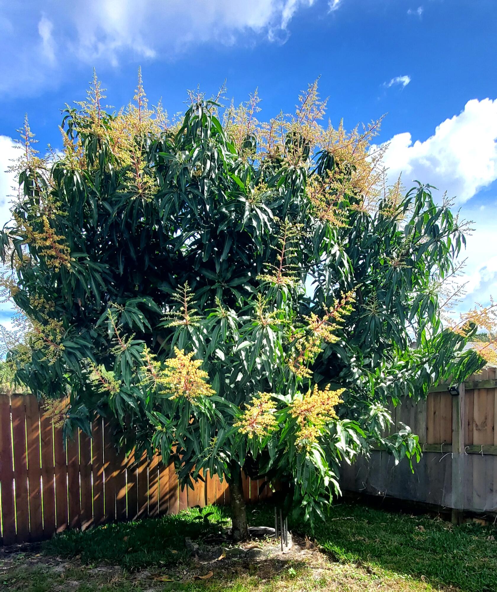 3093 SW Seaboard Avenue