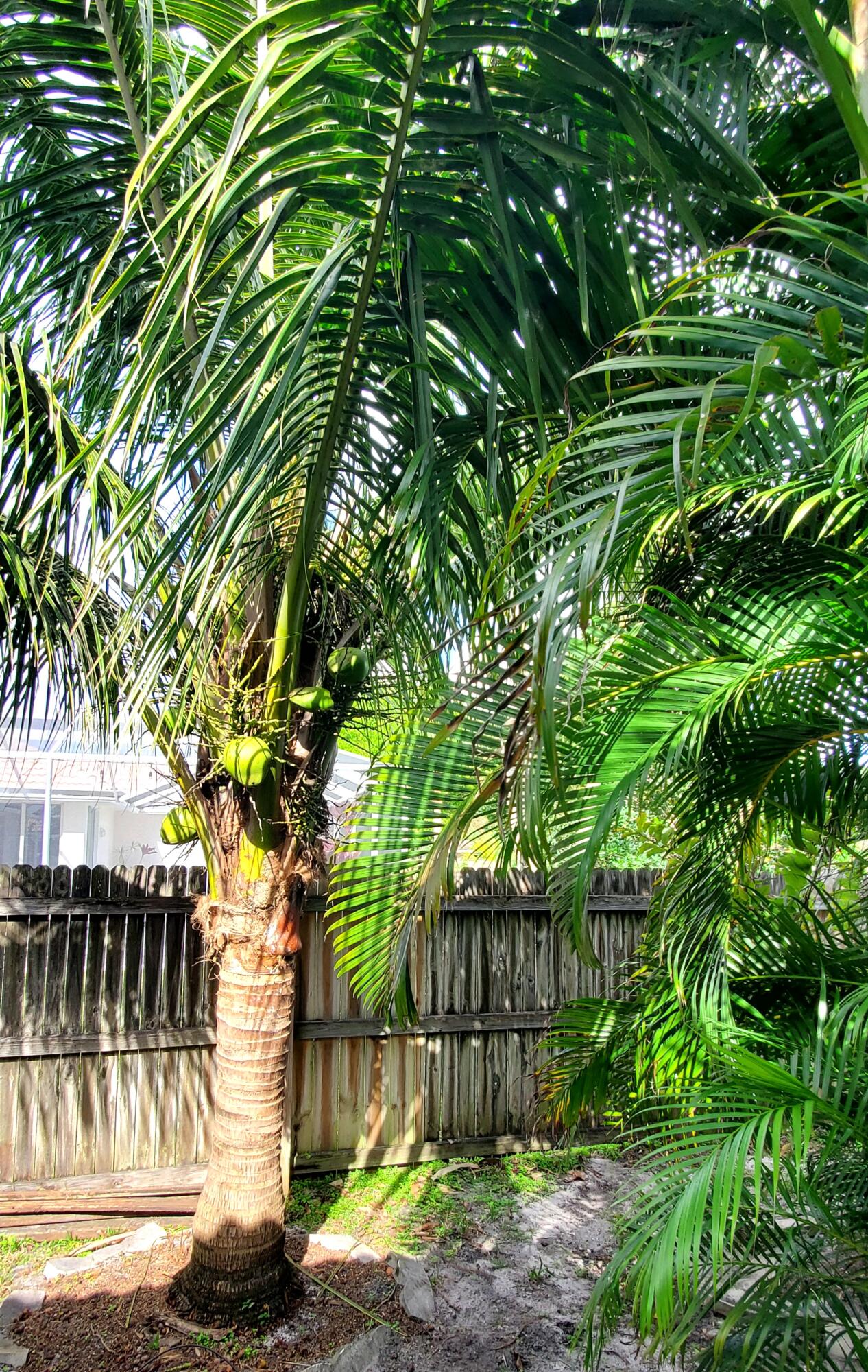 3093 SW Seaboard Avenue