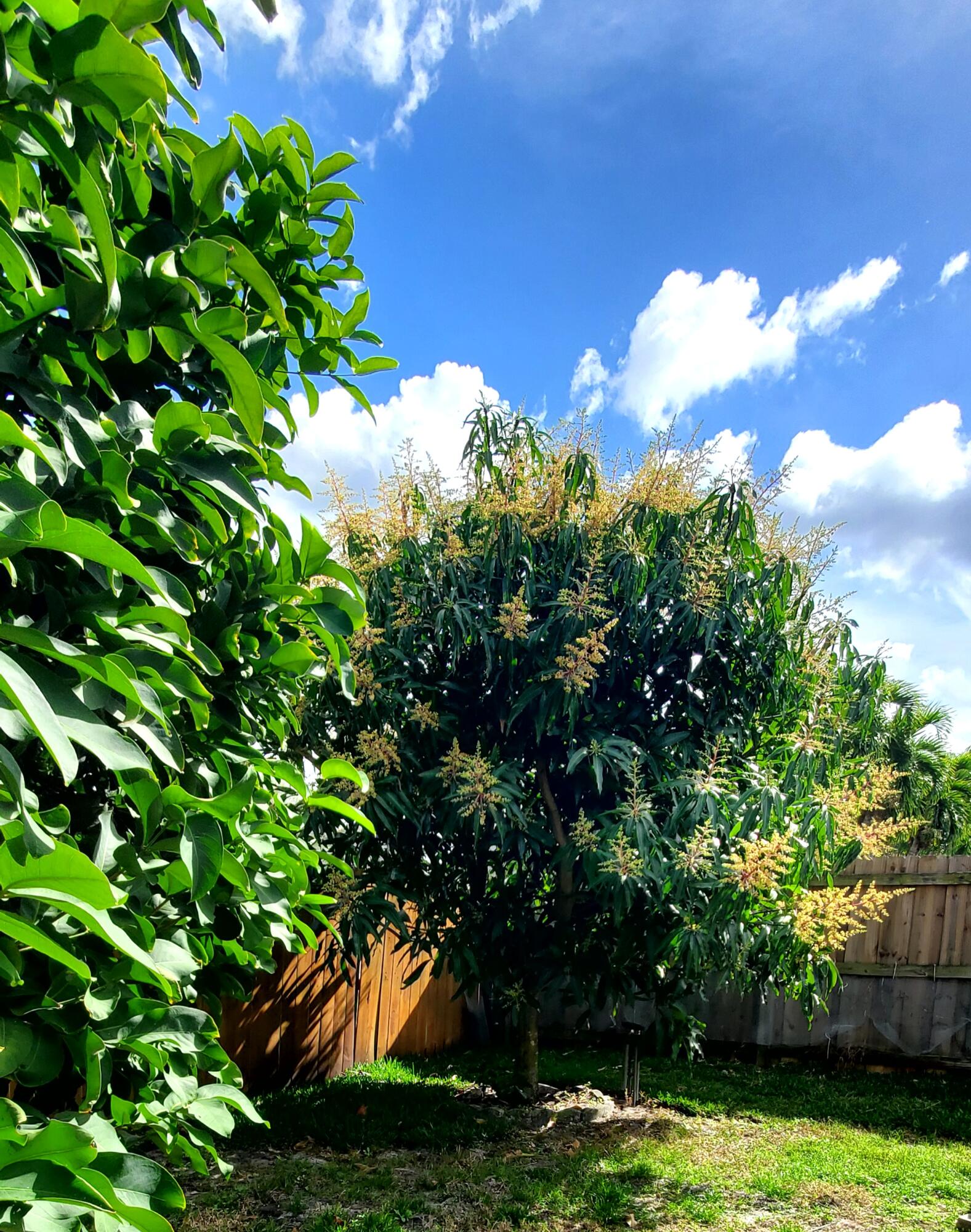 3093 SW Seaboard Avenue