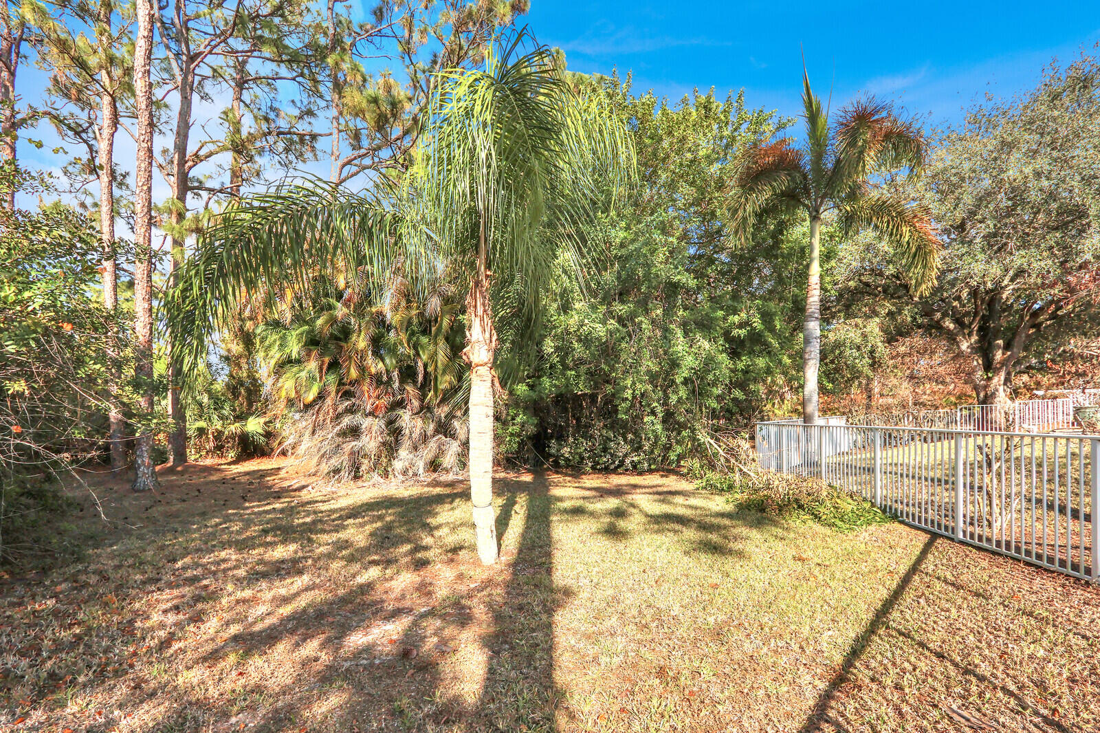 17151 30th Lane N