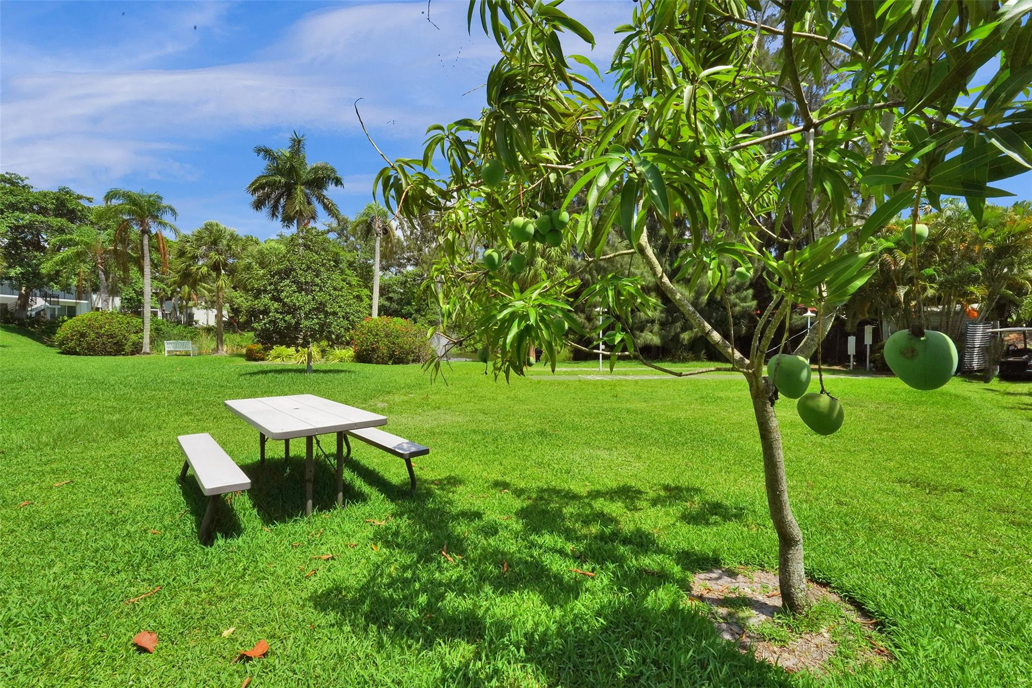 1055 SE 15th Street 14C