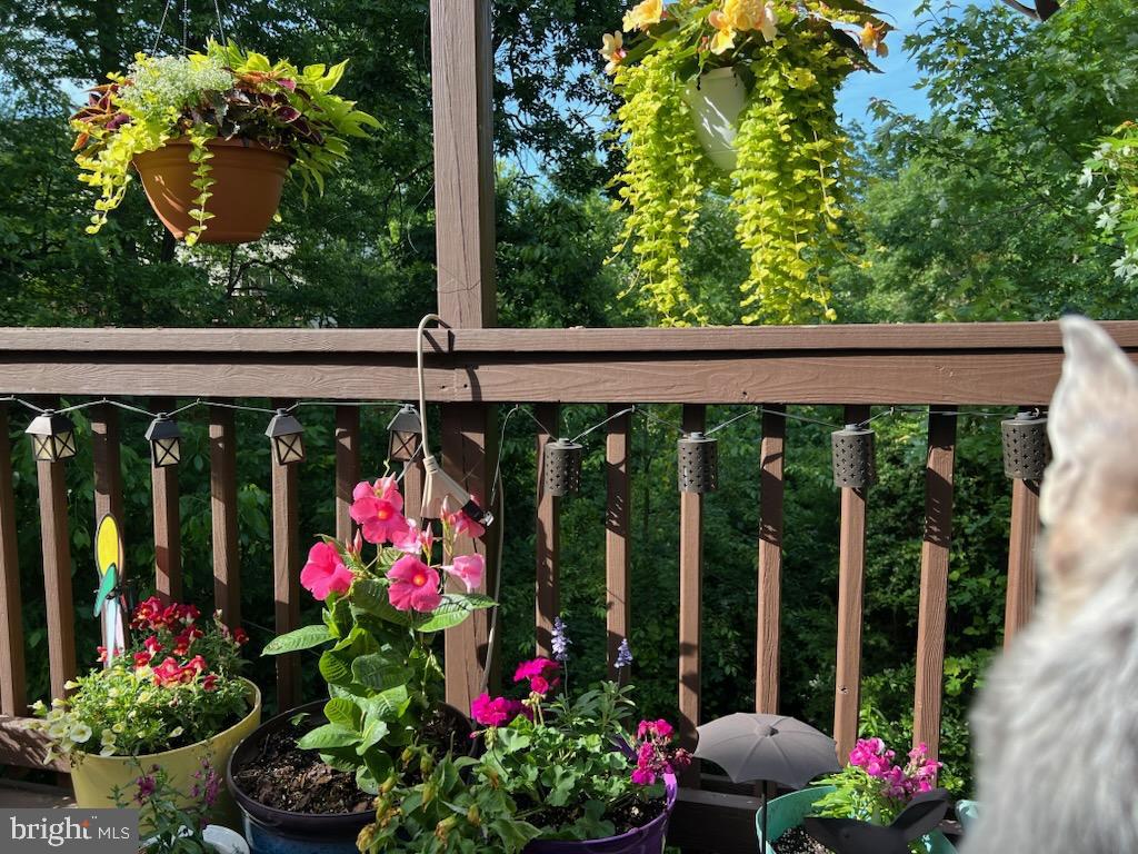 13082 PARK CRESCENT CIRCLE