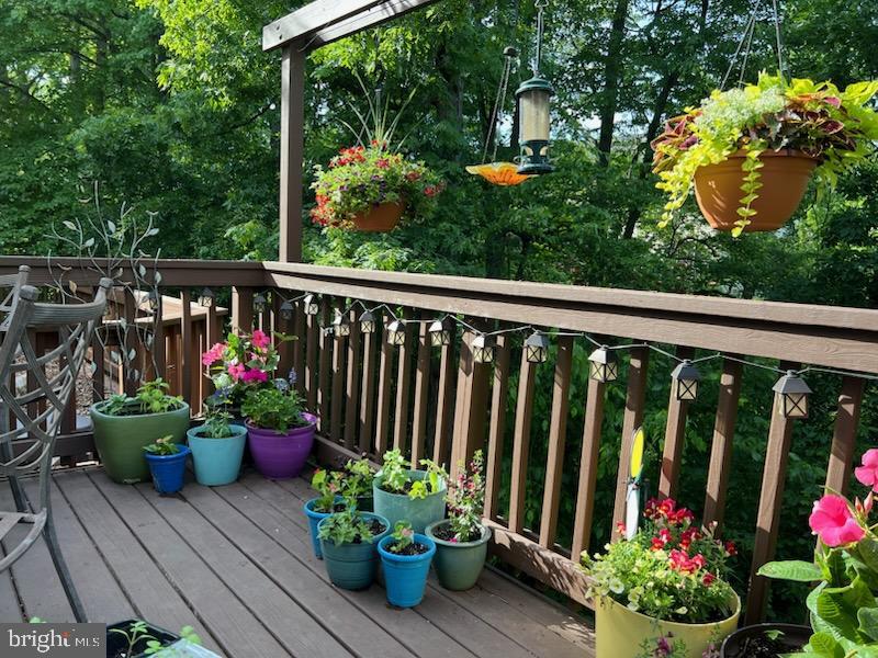 13082 PARK CRESCENT CIRCLE