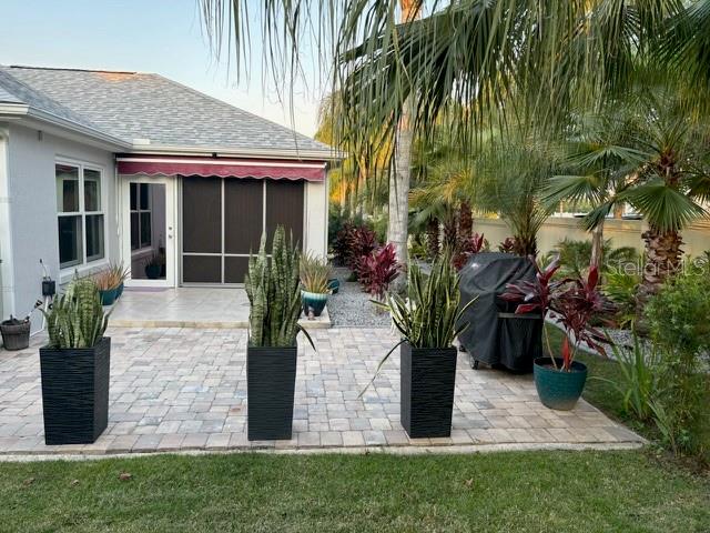 2729 PERSIMMON LOOP