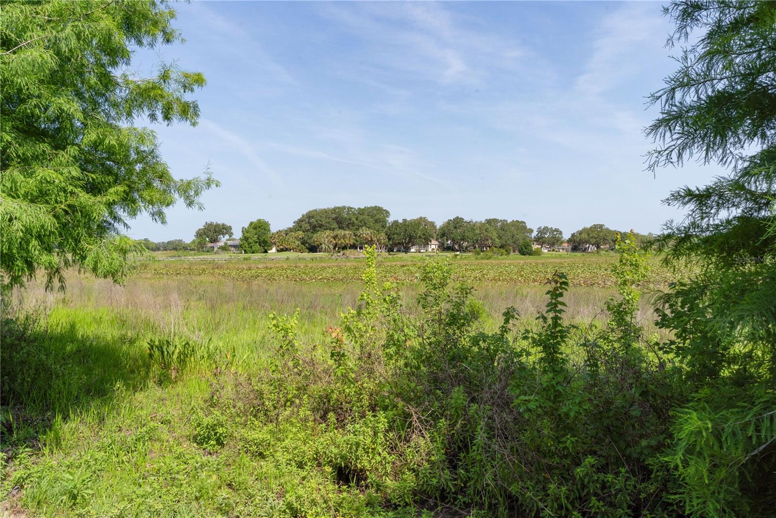 541 CARRERA DR