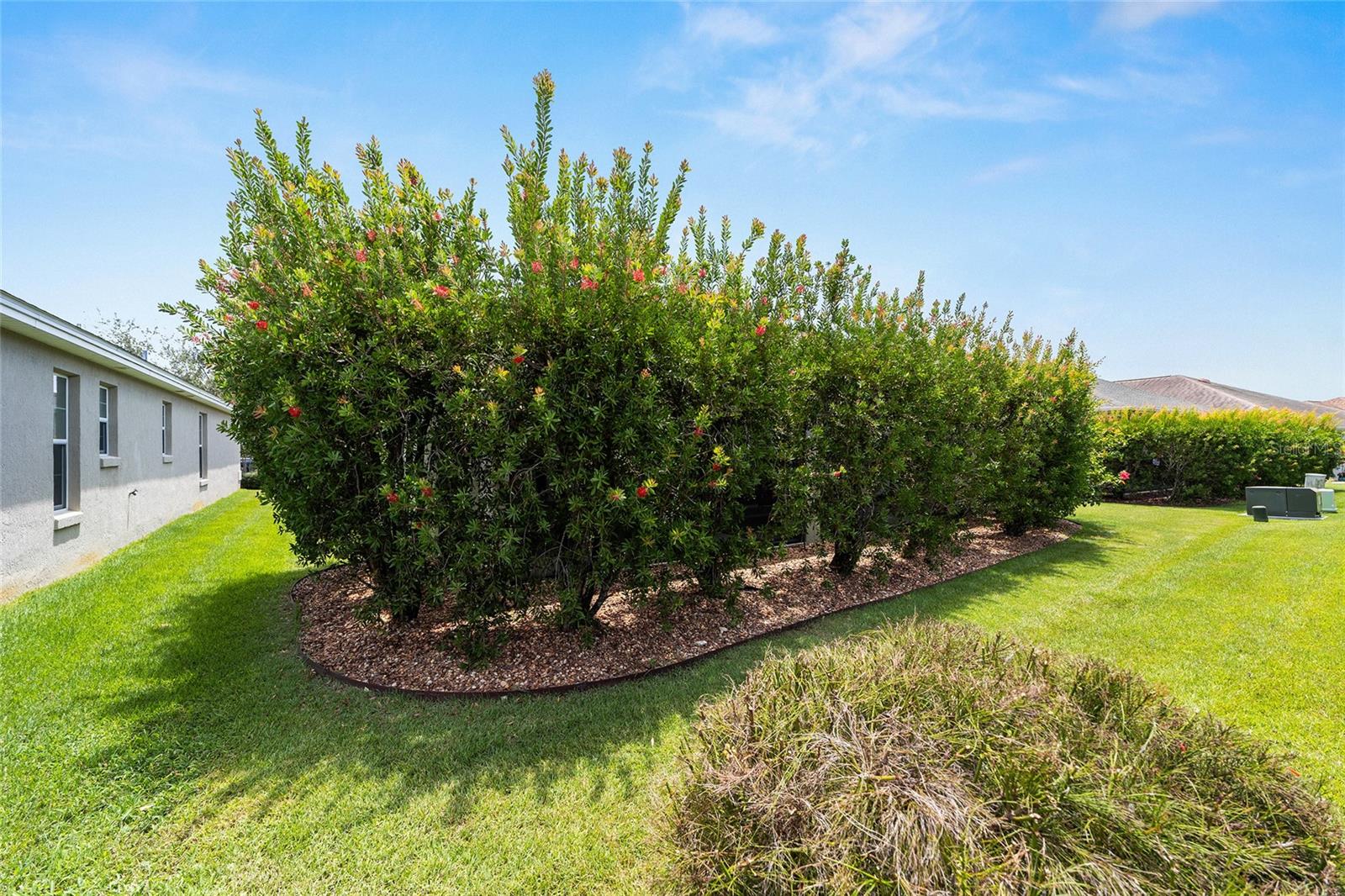 428 POMEGRANATE PATH