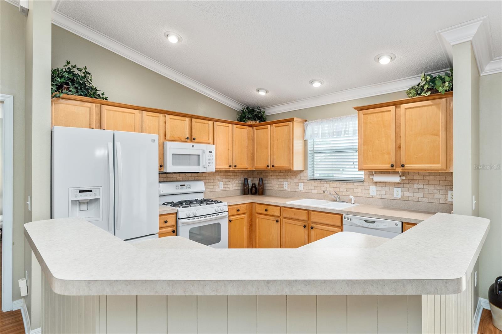 301 PACOLET TER