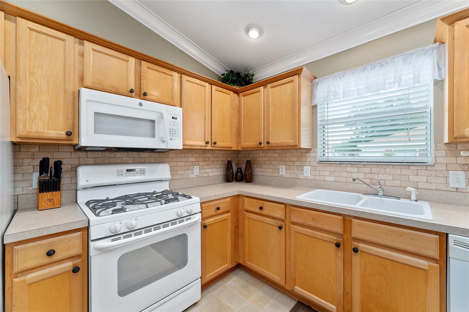 301 PACOLET TER