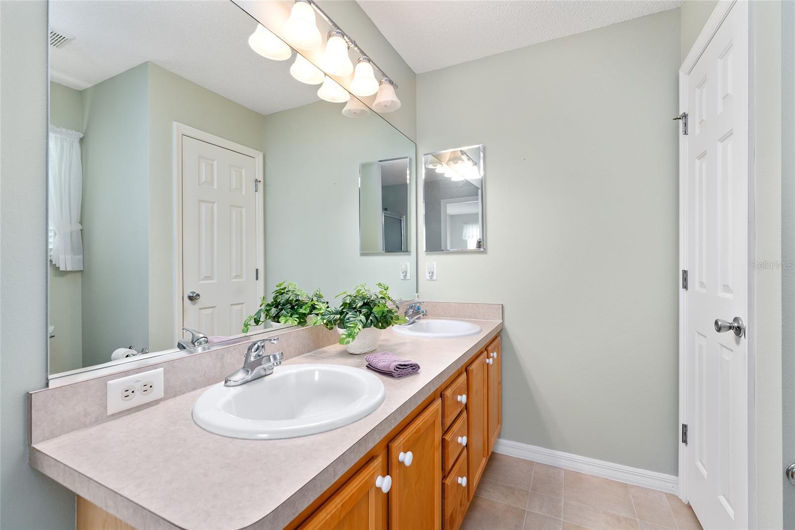 301 PACOLET TER