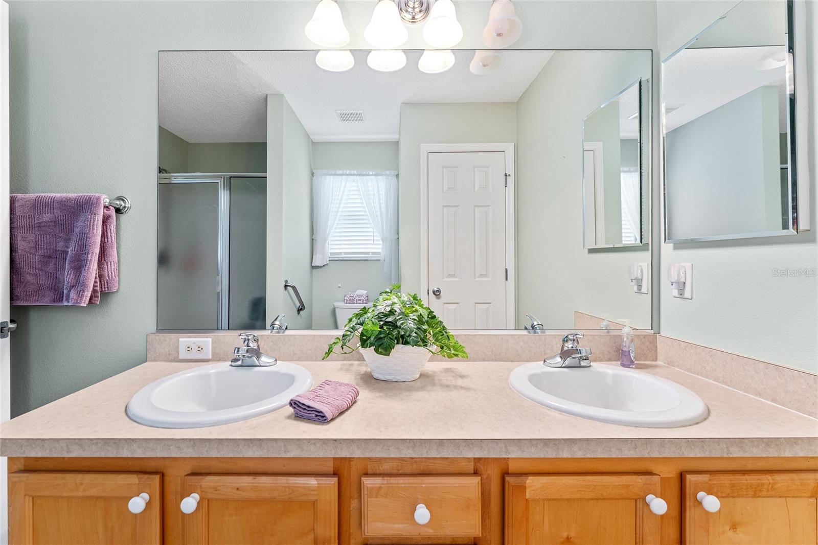 301 PACOLET TER