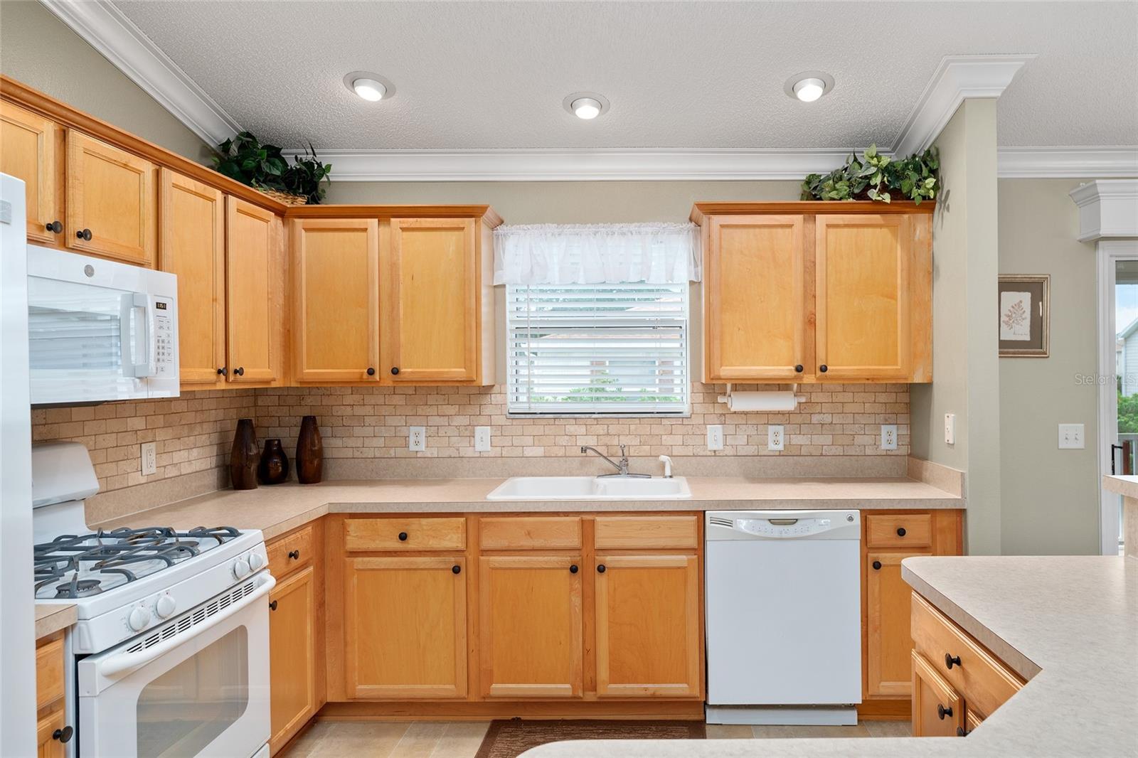 301 PACOLET TER