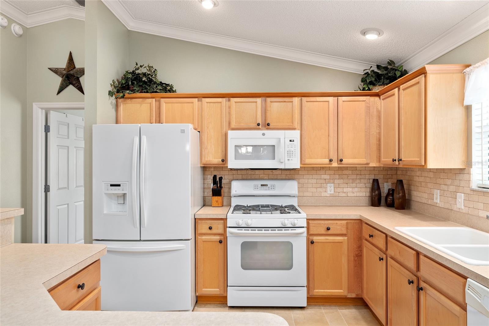 301 PACOLET TER