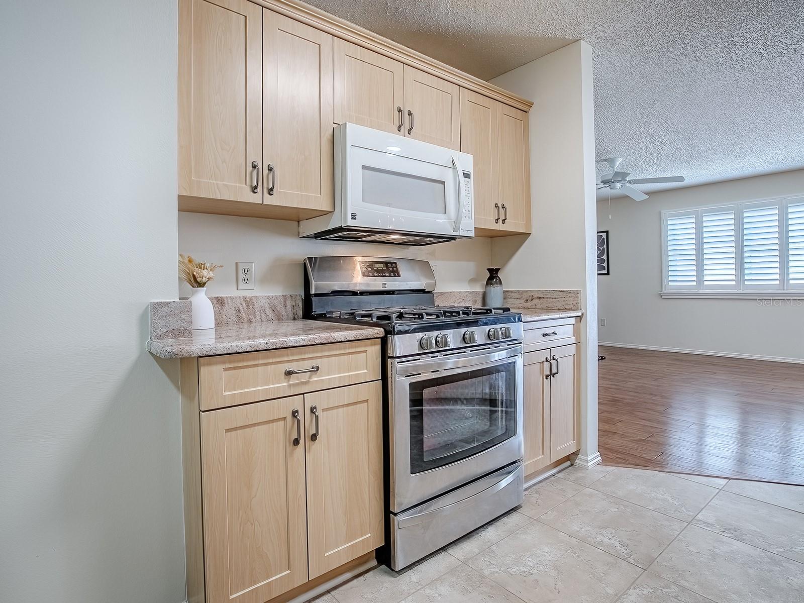 17235 SE 93RD DEMOSS CT