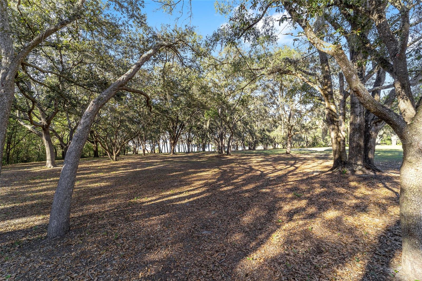 11638 SE 101ST COURT RD