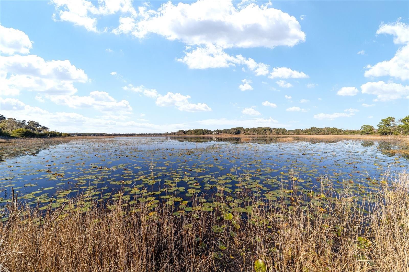 11592 SE 101ST COURT RD