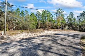 8941 N Farrington Dr, Citrus Springs, FL 34433