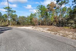 8941 N Farrington Dr, Citrus Springs, FL 34433