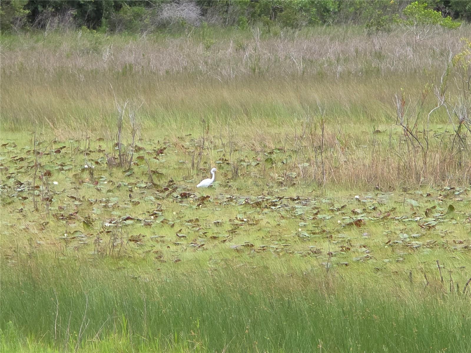 9188 MISSISSIPPI RUN