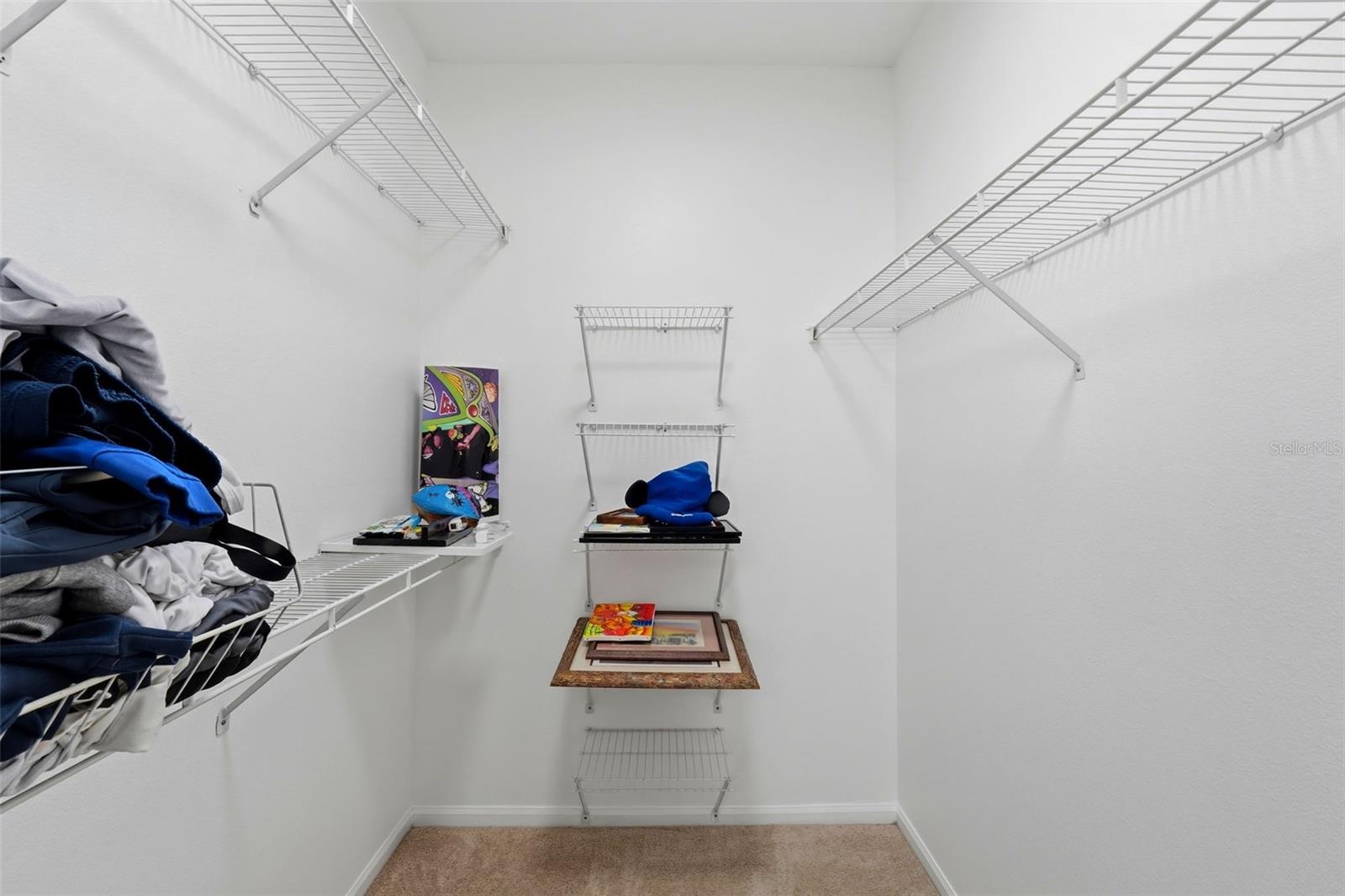 231 GOLDENRAIN DR #101