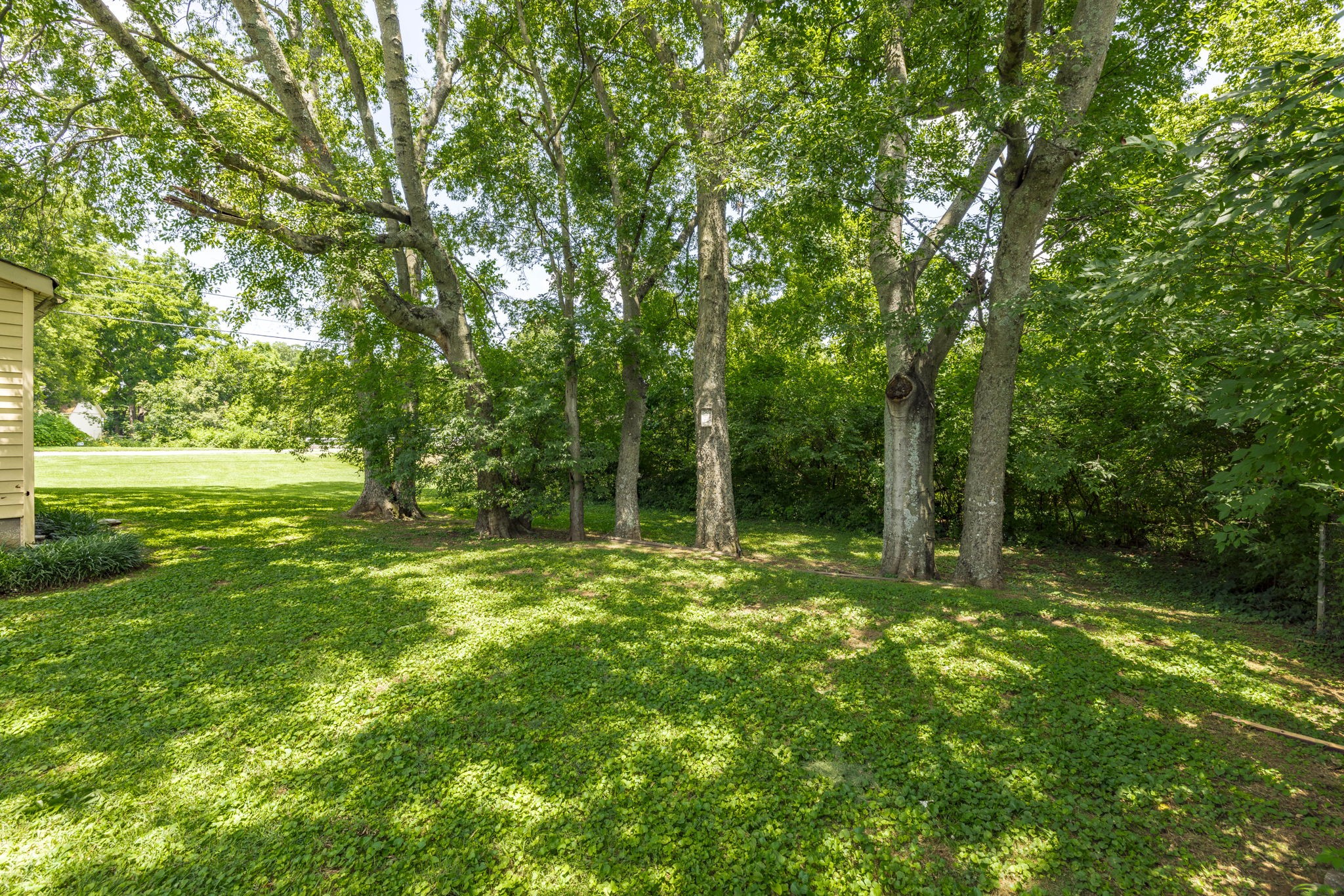 204 Wessington Pl