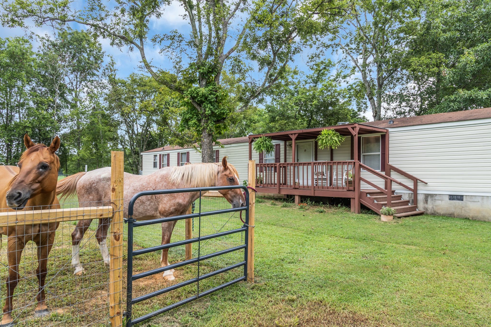 259 McCrary Rd