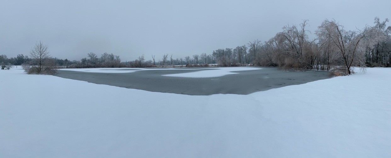 2843 Roy McCollum Rd