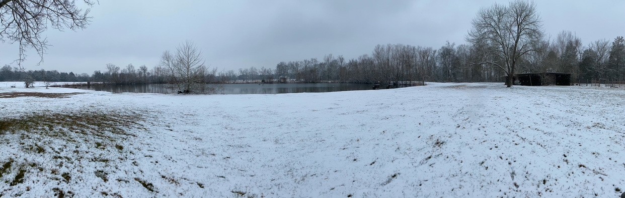 2843 Roy McCollum Rd