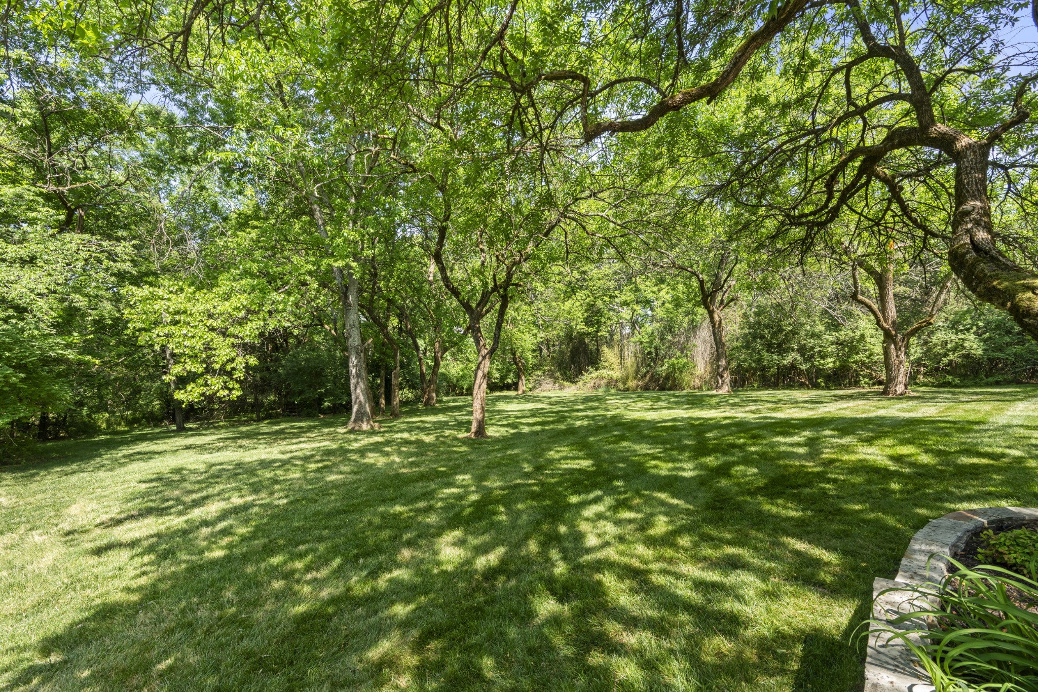 1004 Perkins Ln