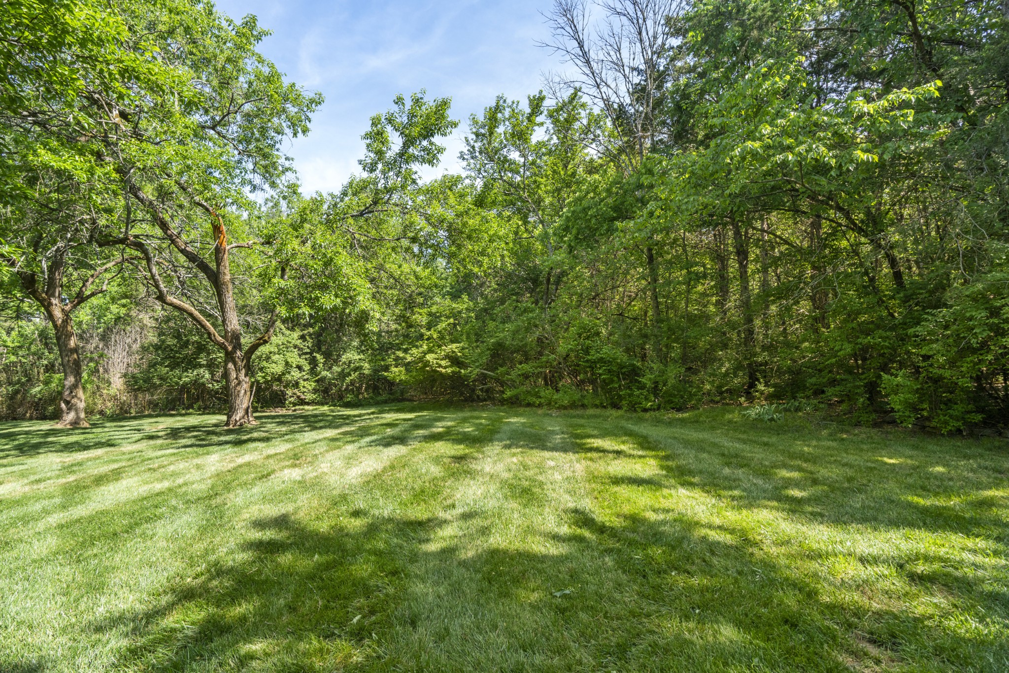 1004 Perkins Ln