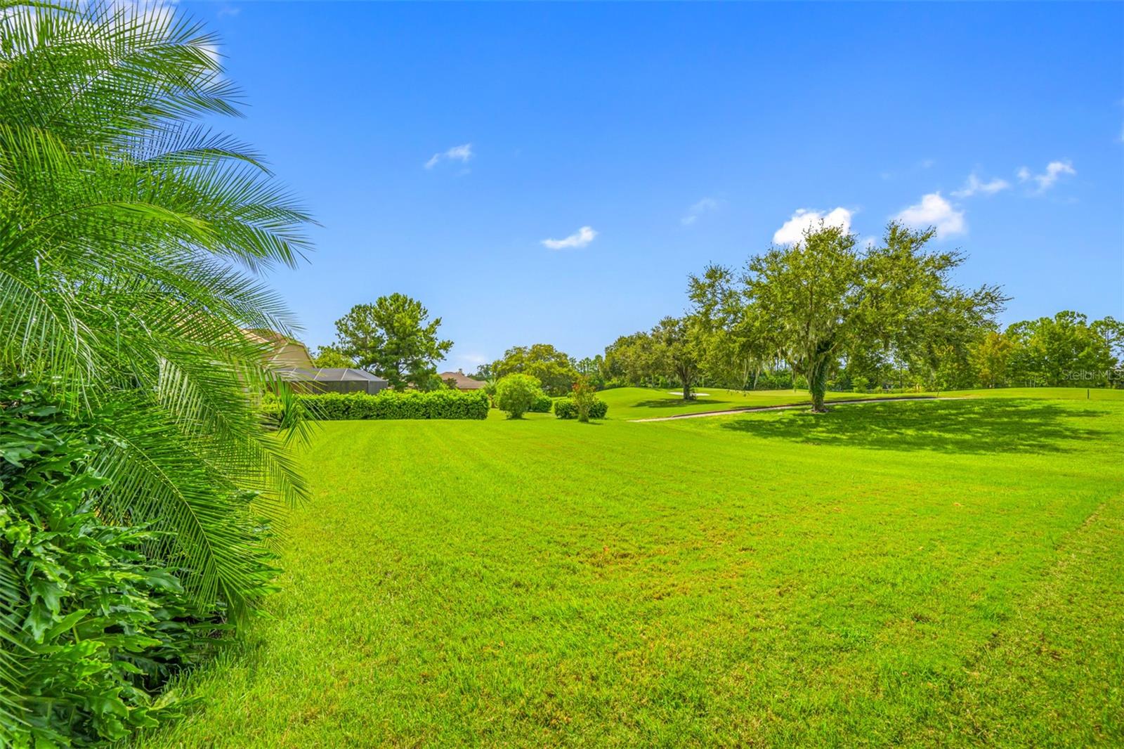 13039 THOROUGHBRED DR
