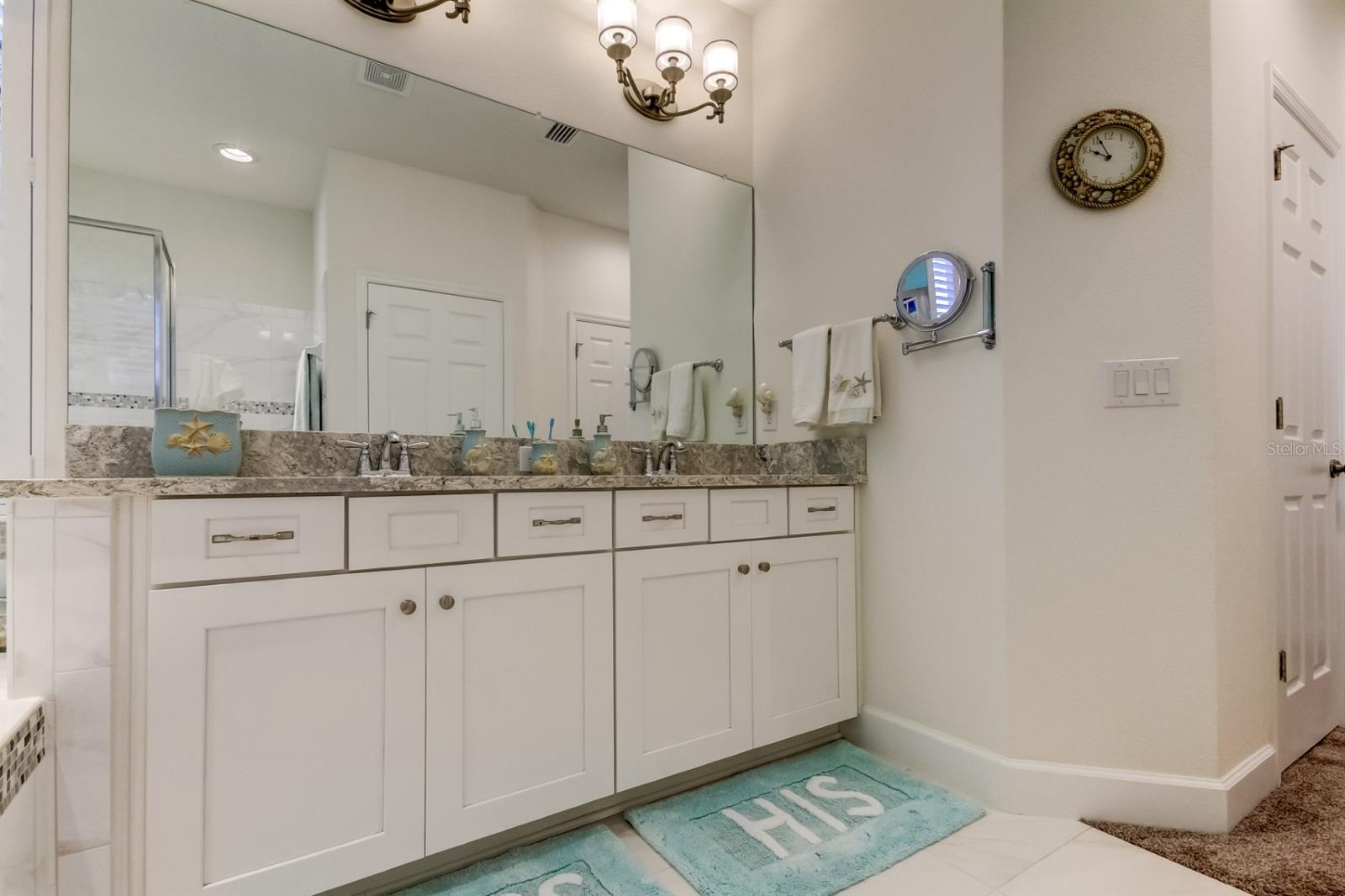 29798 CHAPEL CHASE DR