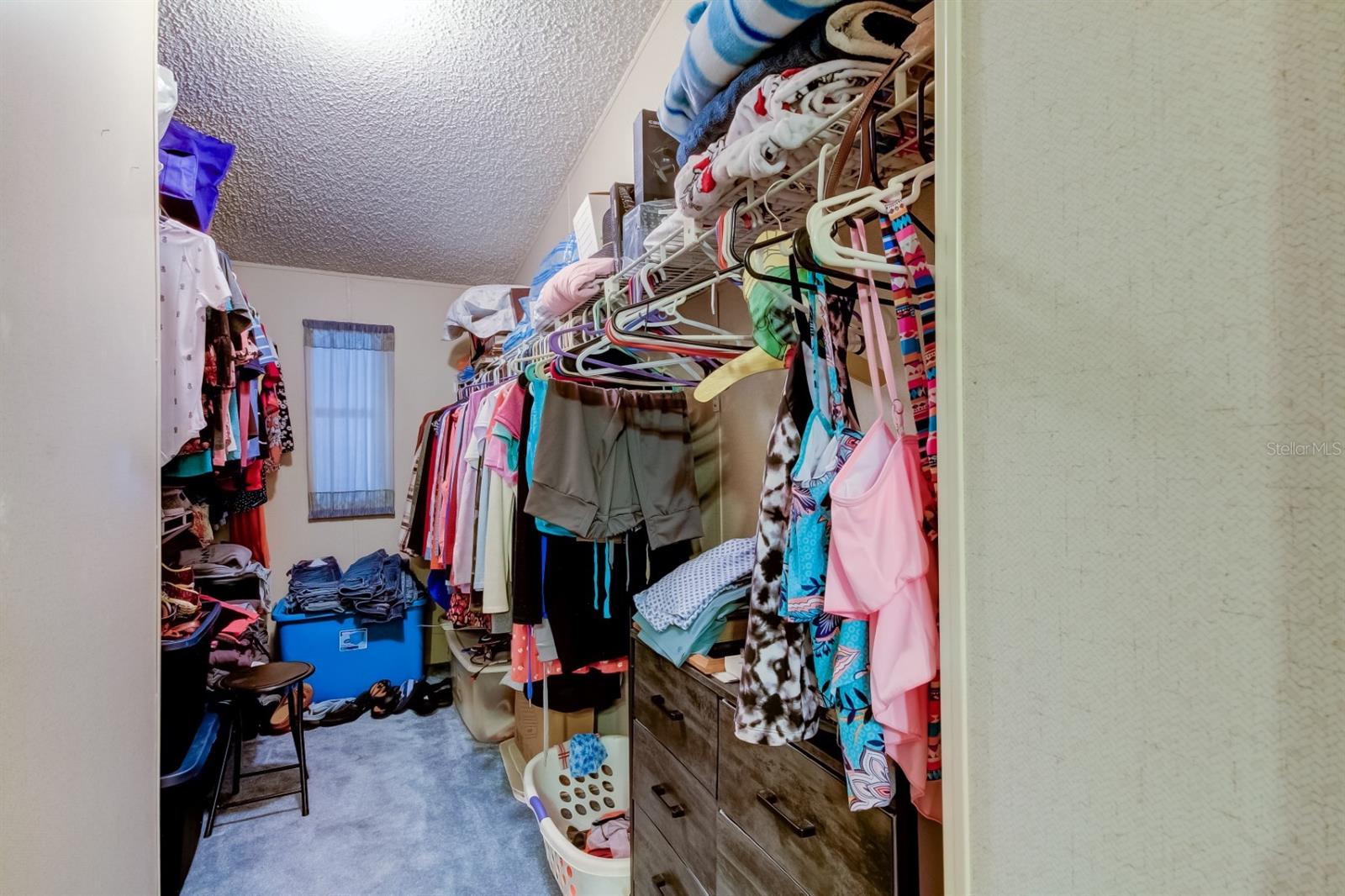 35013 MCCULLOUGHS LEAP