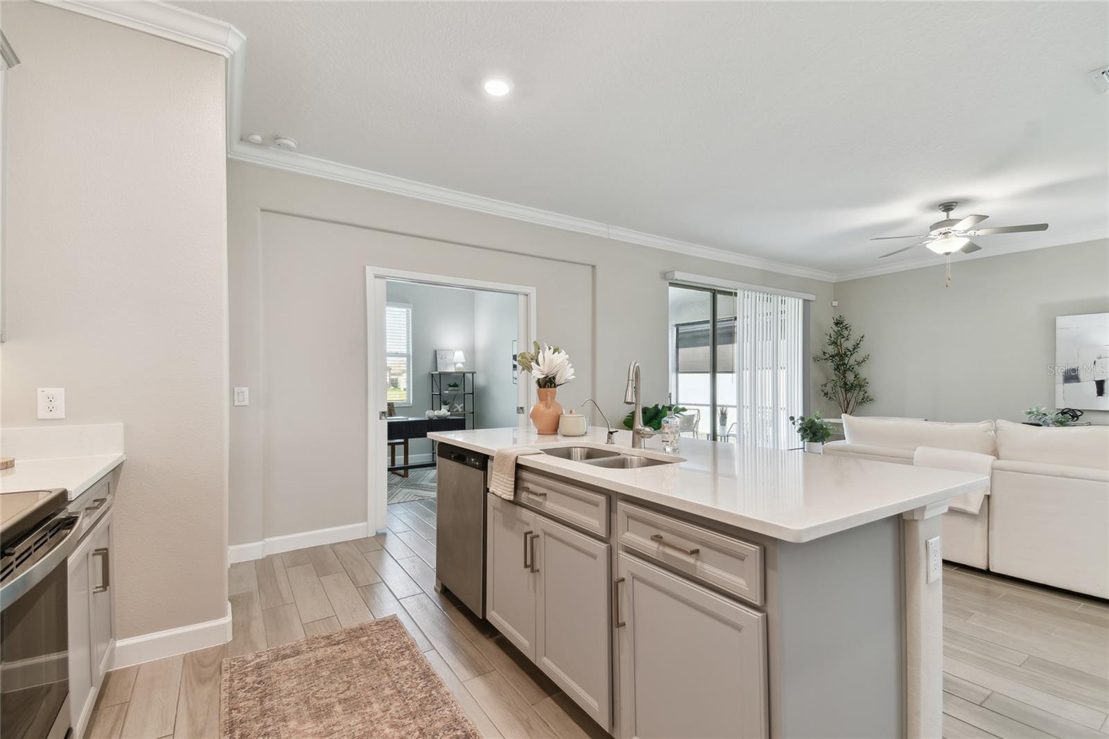 31675 CANNON RUSH DR