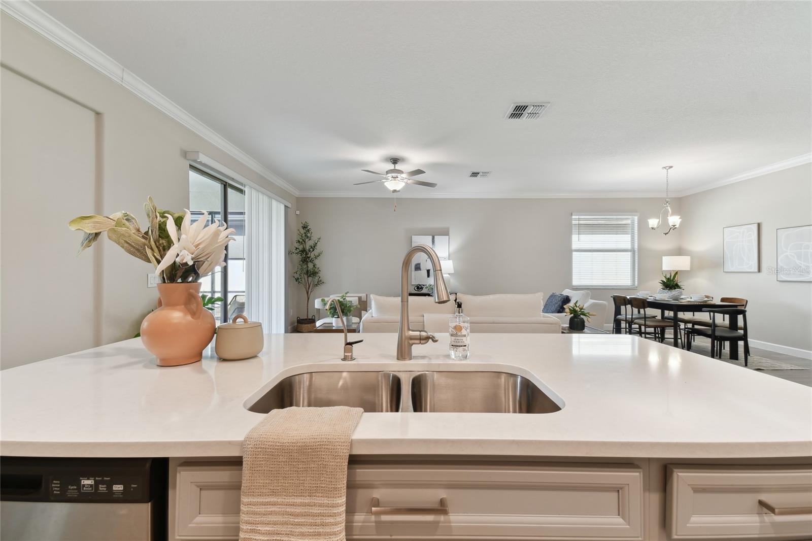 31675 CANNON RUSH DR